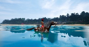 Swimmable Horse