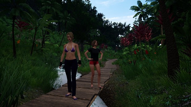 Pathway through jungle