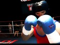 Boxing Saga