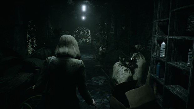 Remothered: Tormented Fathers - 10