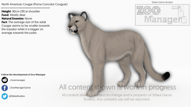 The North American Cougar is added to our animal list!
