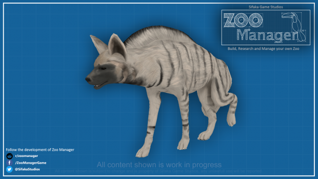The first look at our Striped Hyena