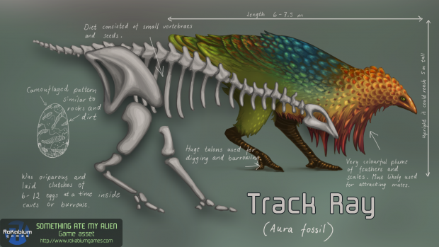 Track Ray fossil
