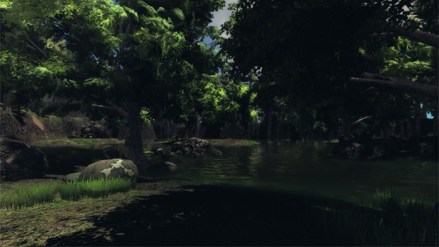 Swamp Area