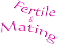 Fertile & Mating Series