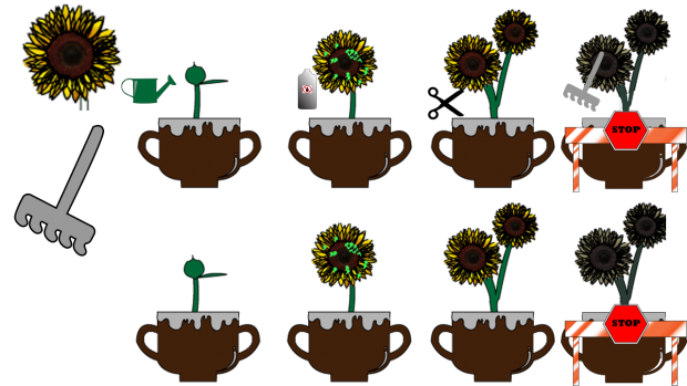 Plant Levels 1