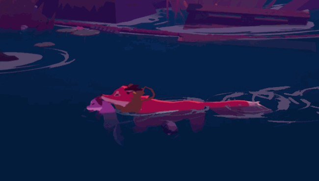 Fox swimming