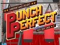 Punch Perfect: Boxing Training
