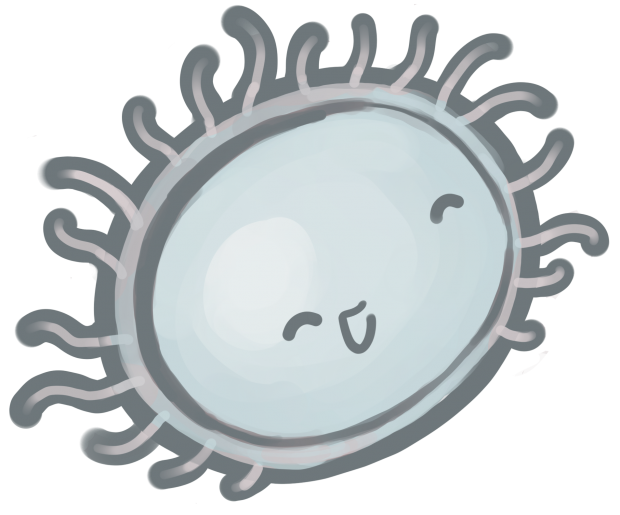 white blood cell 3