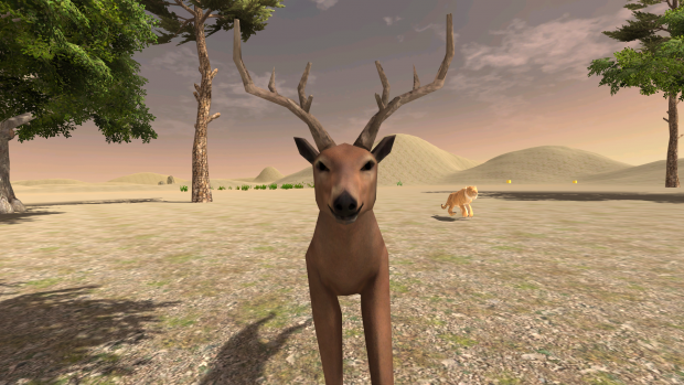 Deer Cam (alpha 1.1)