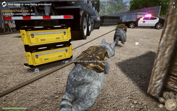 Wanted Raccoon - delivery and some funy bugs in the game