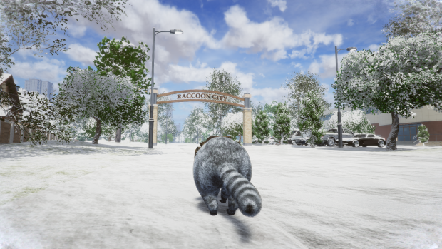 Winter 2021 in Wanted Raccoon