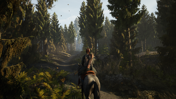 Horseback in Sprucewood Forest