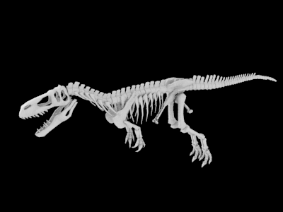 Megalosaur skeleton