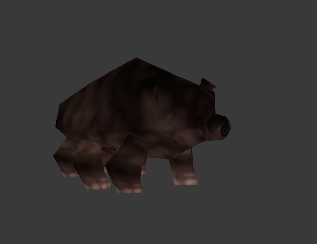 Bear_1