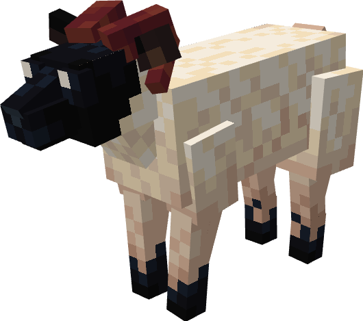 Sheep 5