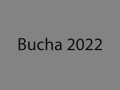 Bucha 2022