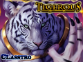 Tigerous (classtro game)