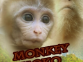 monkey moko (classtro game)