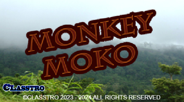 monkey moko