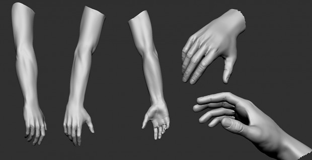 Hands (high-poly)