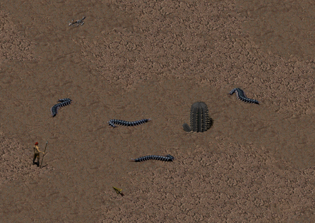 Giant centipedes!