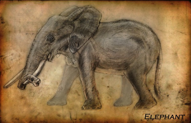 Elephant Concept Paper