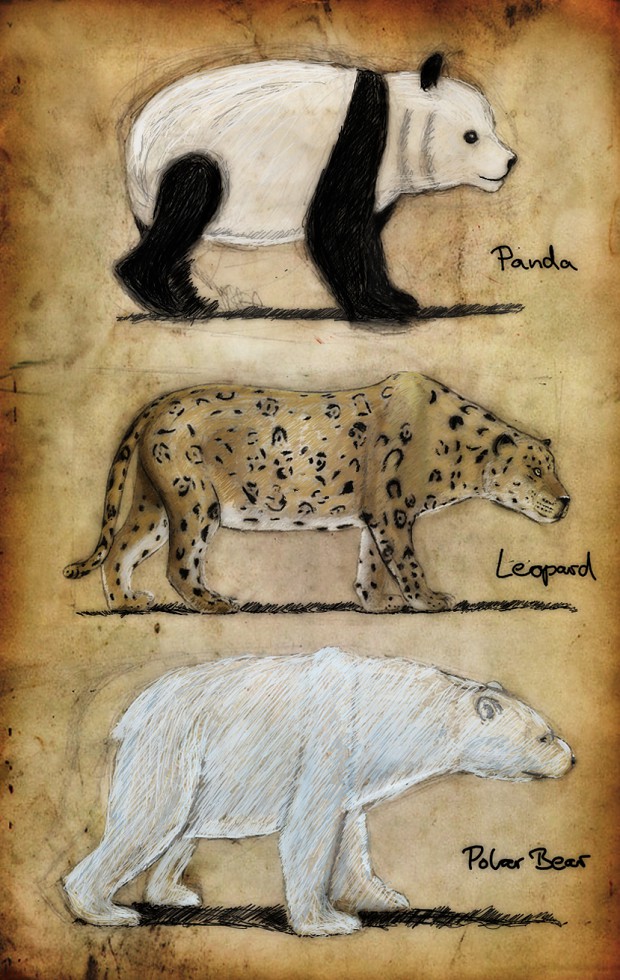 Animal Concept Paper