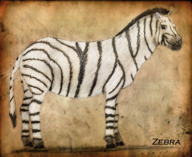 Zebra Concept Paper