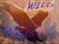 Wild Eagles TEAM