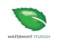 Watermint Studios LLC