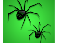 Binary Spiders