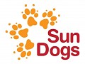 Sun Dogs