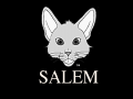 Salem Software