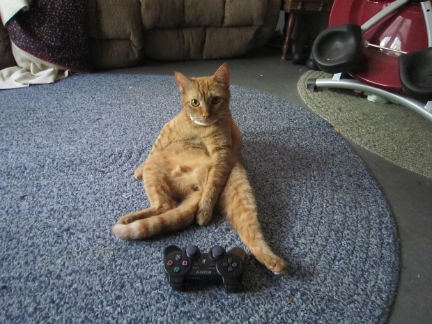 My Cat Plays PS3 To.