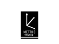 Metric Tensor Studio
