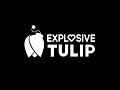 Explosive Tulip