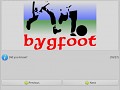Bygfoot football manager Team