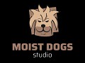 Moist Dog studio