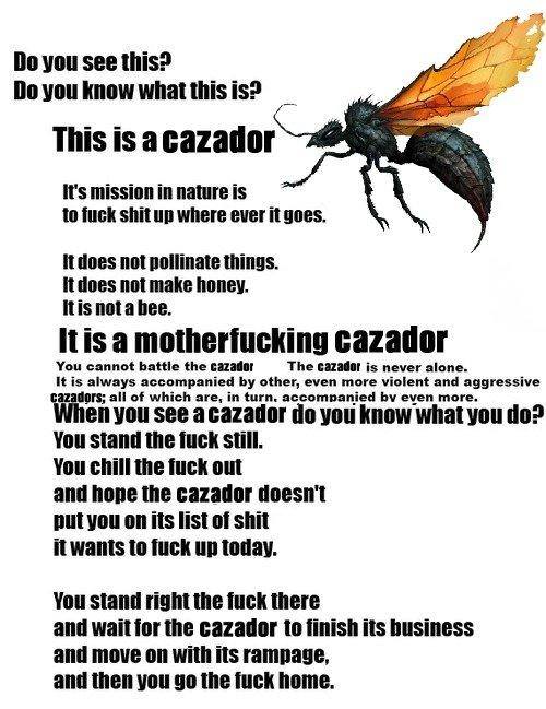 Introducing Cazador !