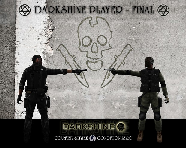 DarkSHine_final  .june 2010