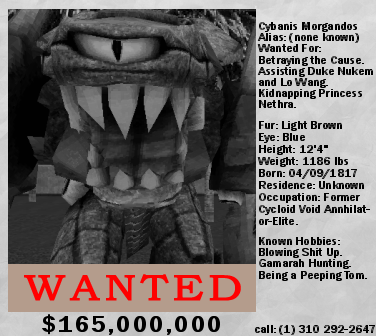 Random NR In-Game Art #7 - Cybanis Wanted Poster
