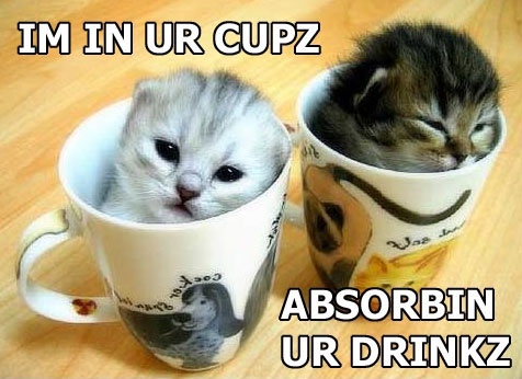 Kitty cups