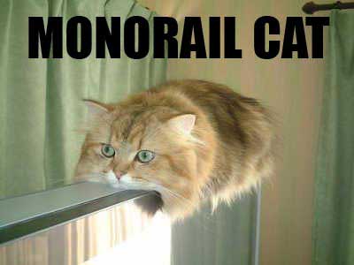 Monorail cat!!
