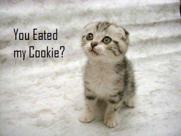 Cookie Cat