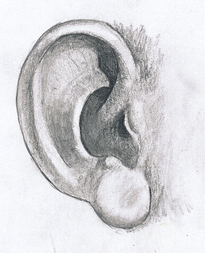 Ear Study