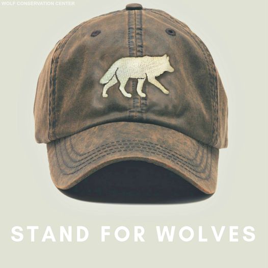 wolfhat stand4wolves   kopia