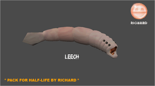 Leech