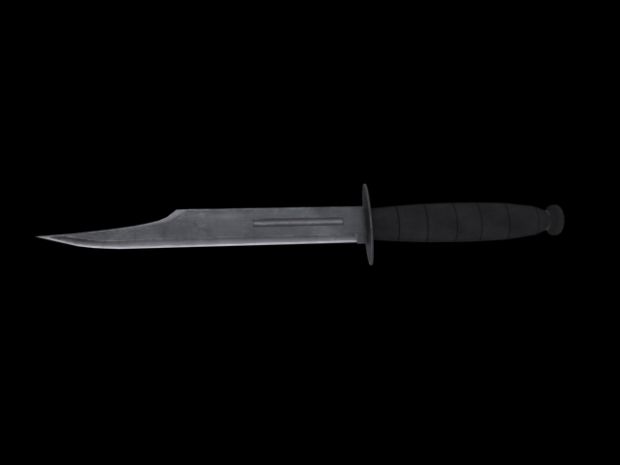 Combat Knife