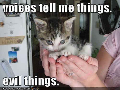 This is what my cat is thinking about...